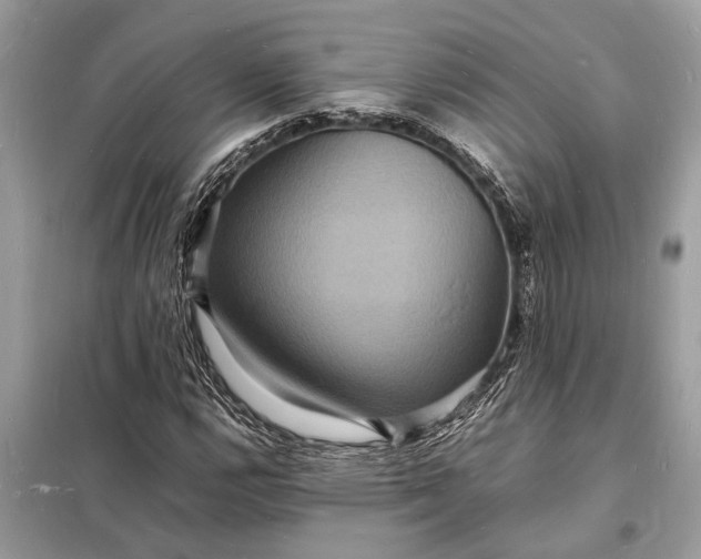 X0000098181112200805081018