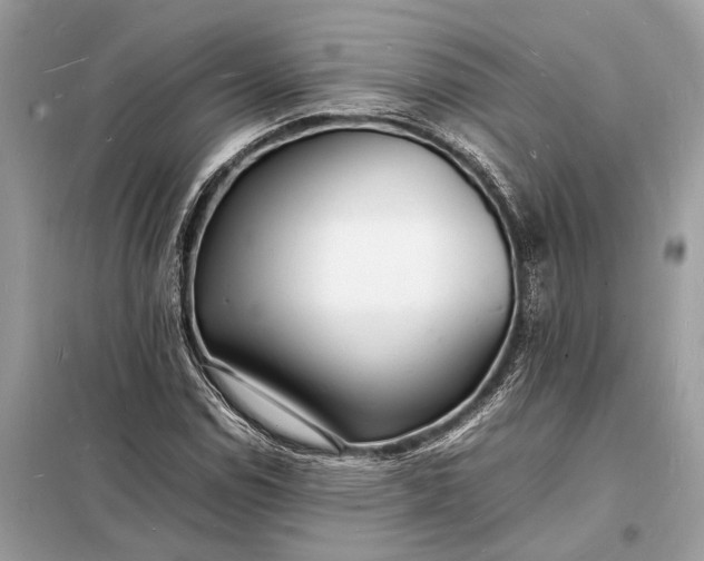 X0000098181114200805081018