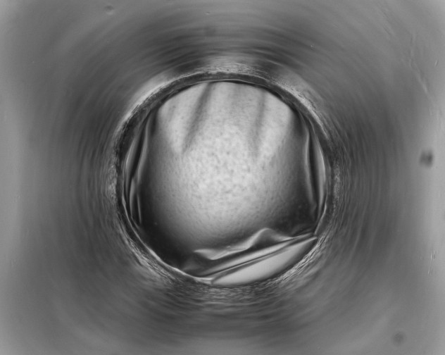 X0000098181115200805081018