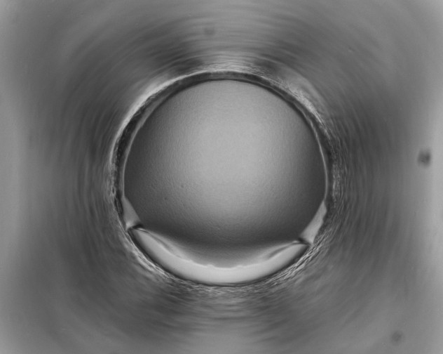 X0000098181116200805081018