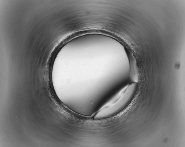 X0000098181118200805081018