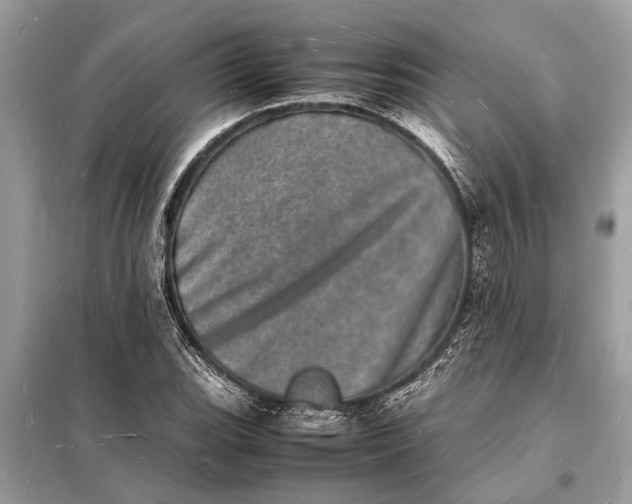 X0000098181119200805081018