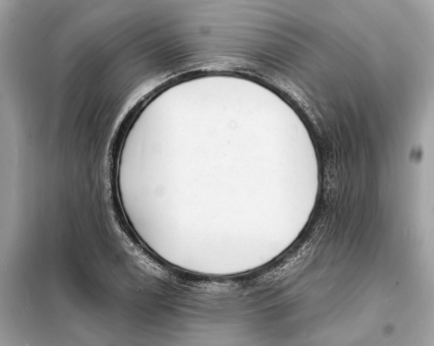 X0000098181122200805081018