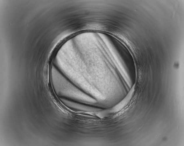 X0000098181123200805081018