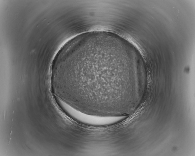 X0000098181124200805081018