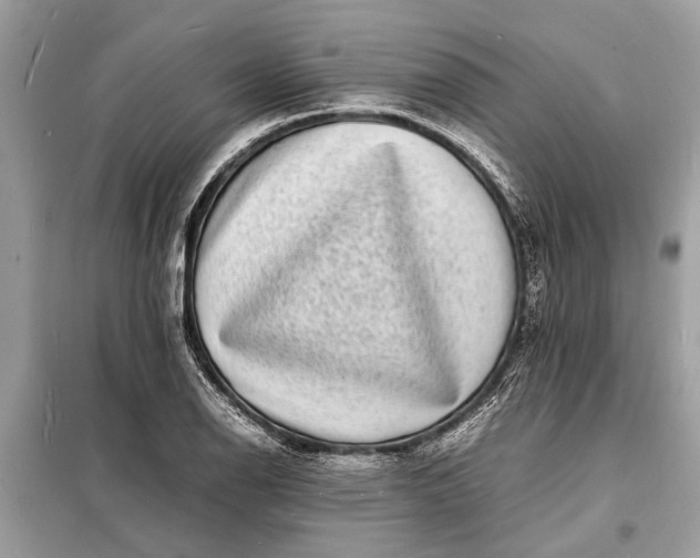 X0000098181126200805081018