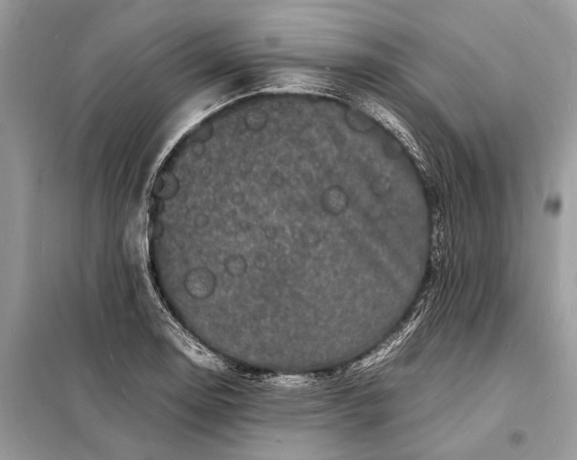 X0000098181130200805081018