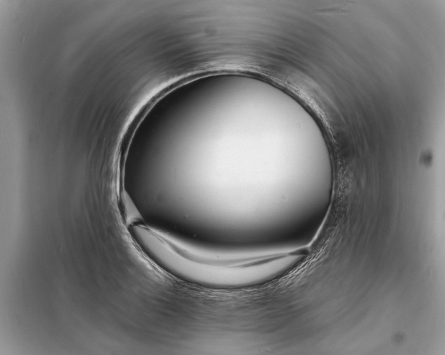 X0000098181132200805081018