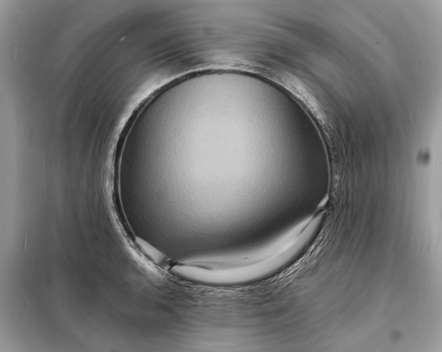 X0000098181136200805081018