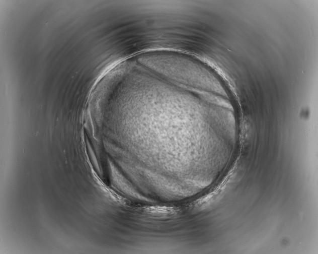 X0000098181137200805081018