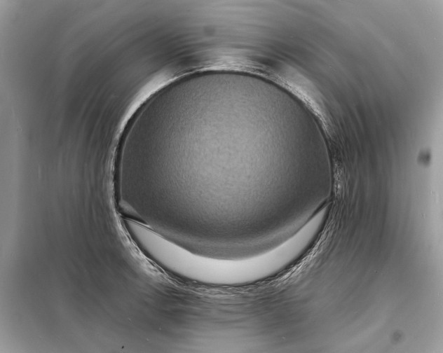 X0000098181138200805081018