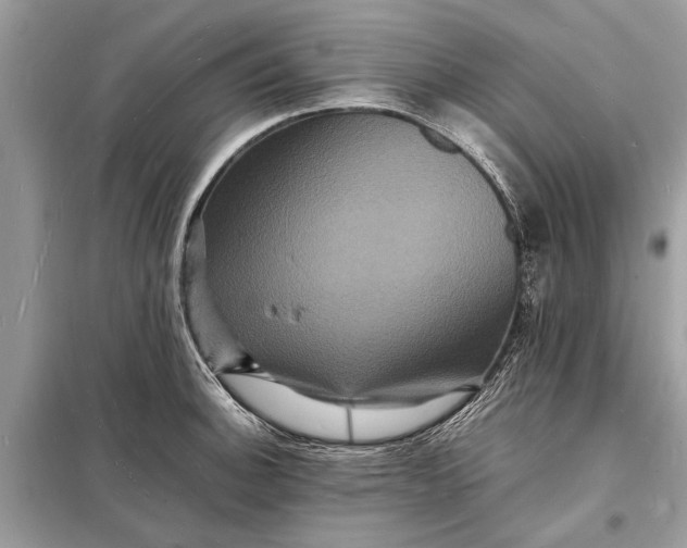 X0000098181140200805081018