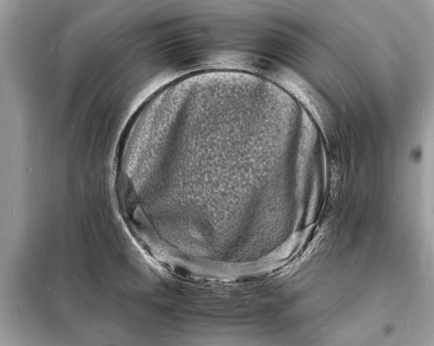 X0000098181141200805081018