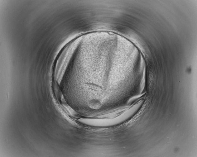 X0000098181142200805081018