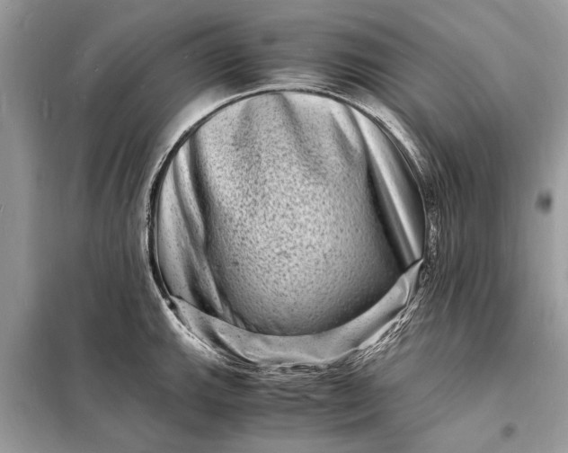 X0000098181143200805081018