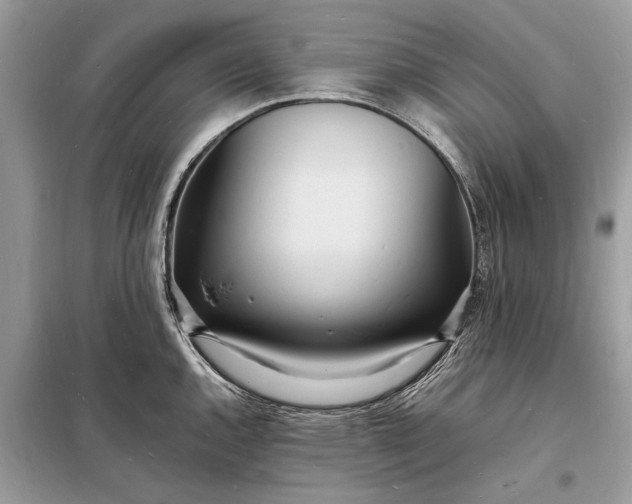 X0000098181144200805081018