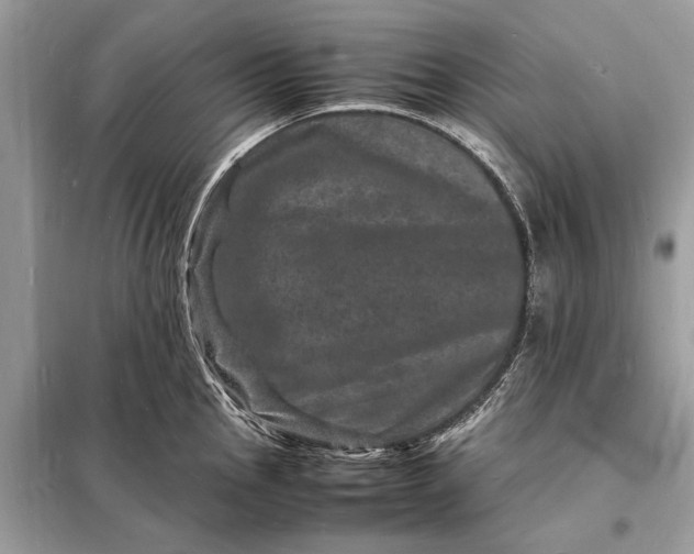 X0000098181145200805081018