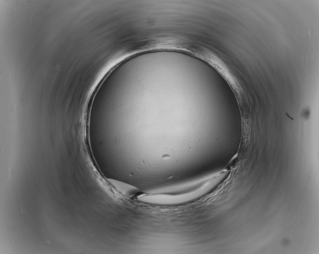 X0000098181148200805081018