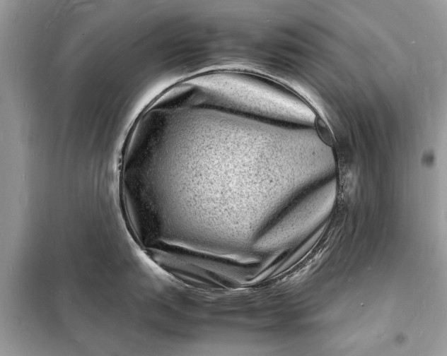 X0000098181151200805081018