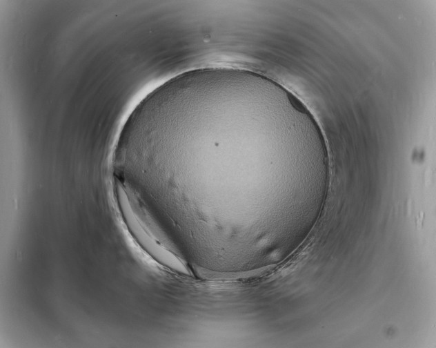 X0000098181152200805081018