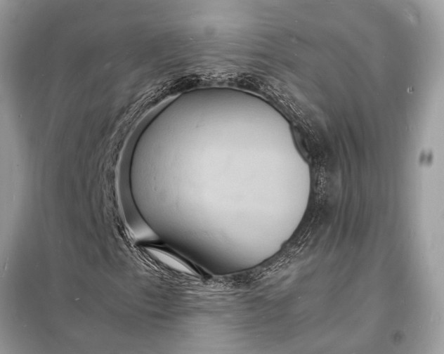 X0000098181153200805081018