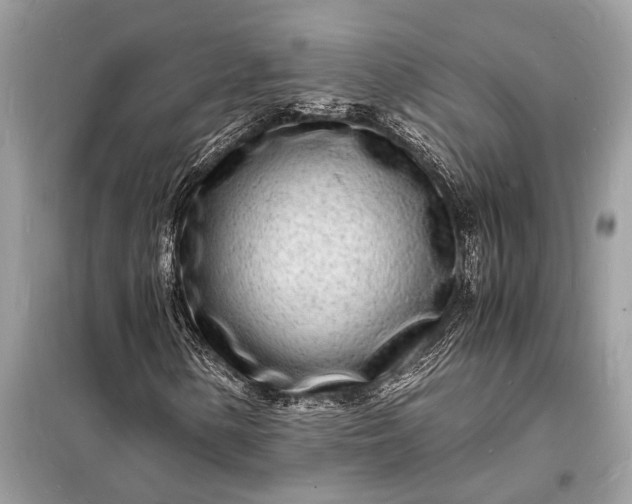 X0000098181154200805081018