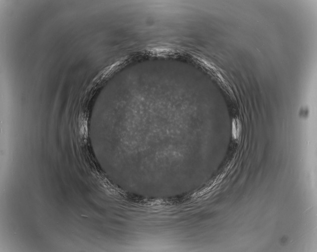 X0000098181155200805081018