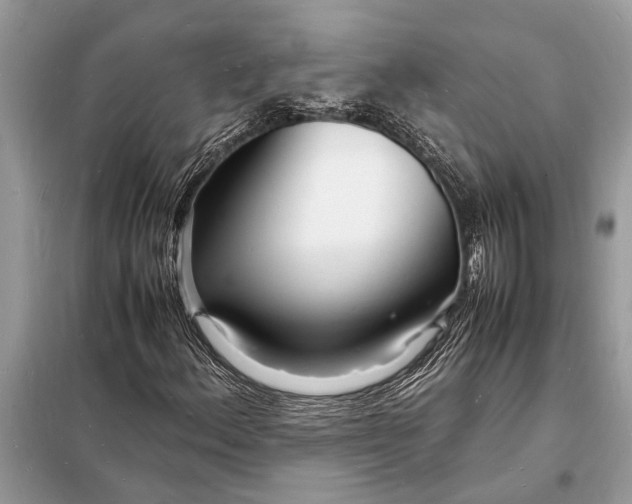 X0000098181156200805081018