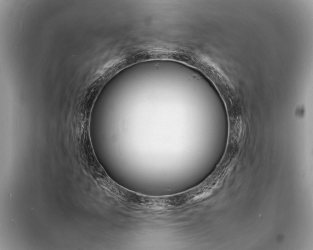 X0000098181157200805081018