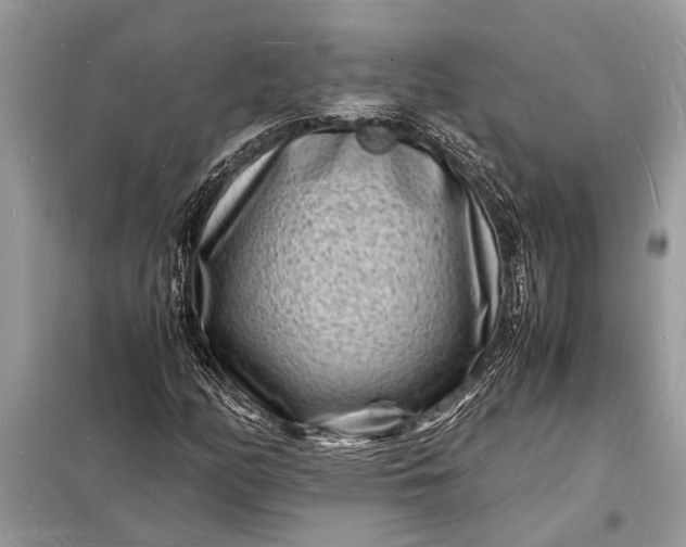 X0000098181158200805081018