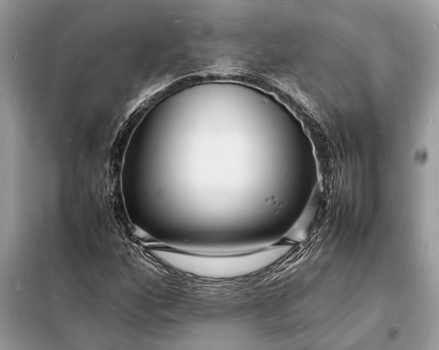 X0000098181160200805081018