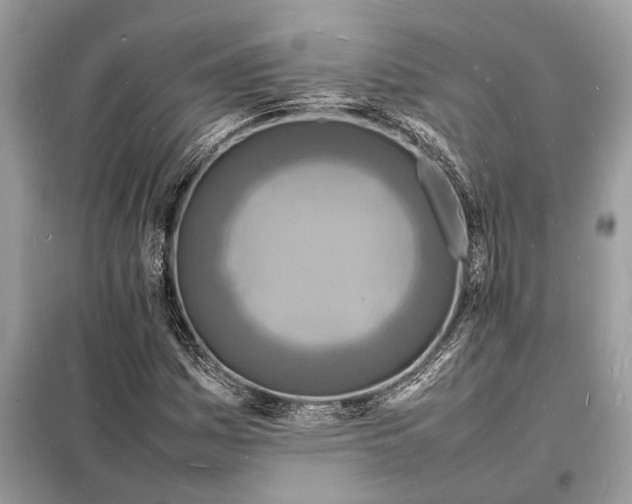 X0000098181161200805081018