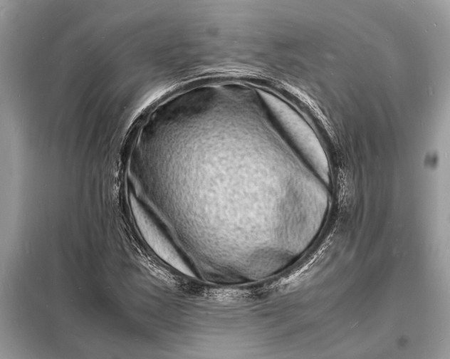 X0000098181163200805081018