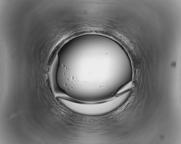 X0000098181165200805081018