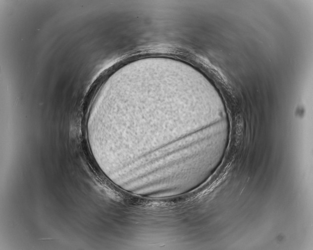 X0000098181166200805081017