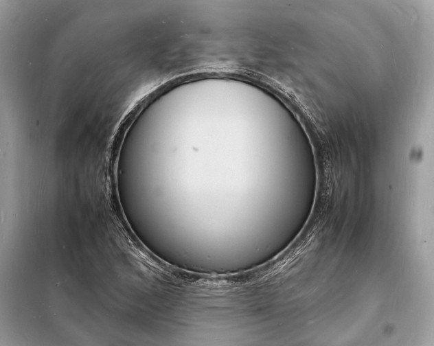 X0000098181168200805081017