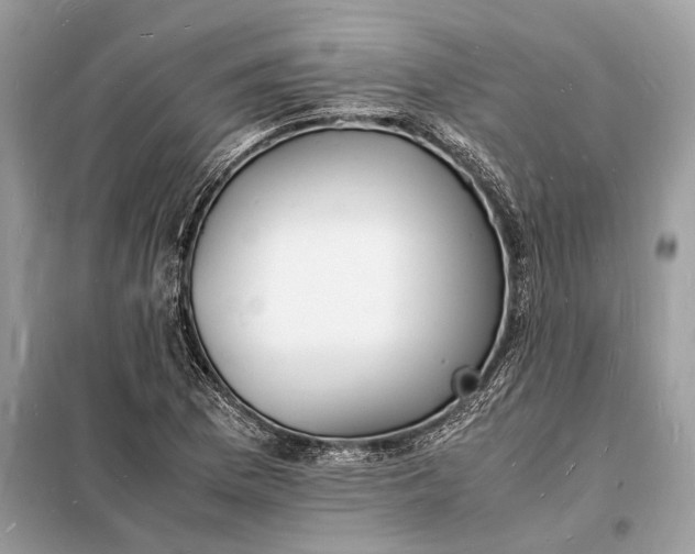 X0000098181169200805081017