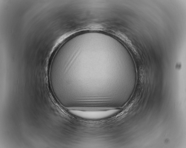 X0000098181176200805081017