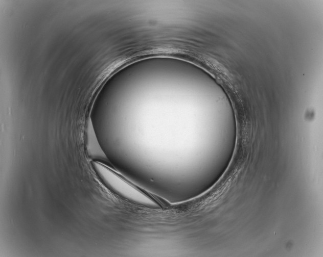 X0000098181177200805081017