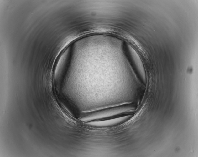 X0000098181178200805081017