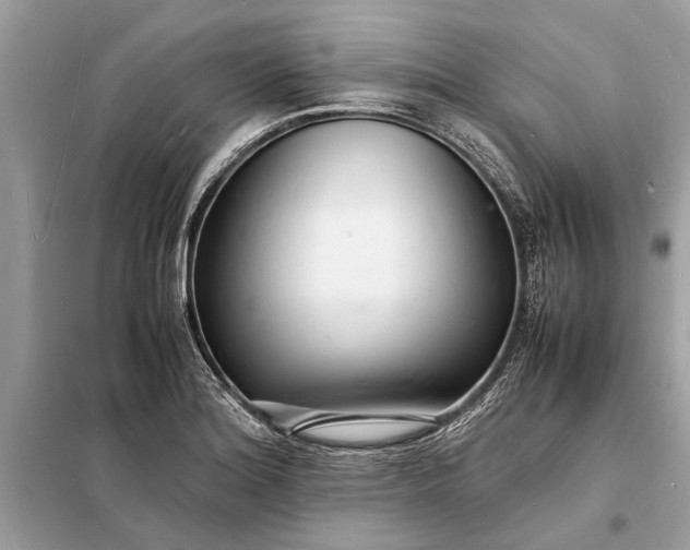 X0000098181180200805081017