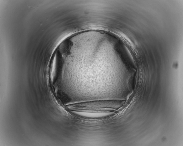 X0000098181182200805081017