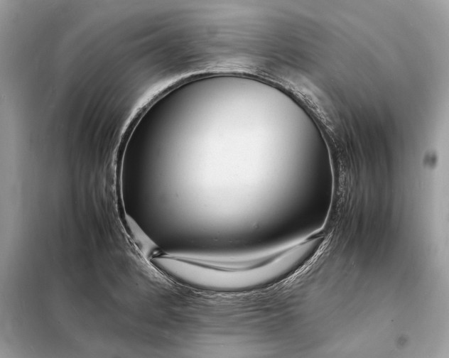 X0000098181184200805081017