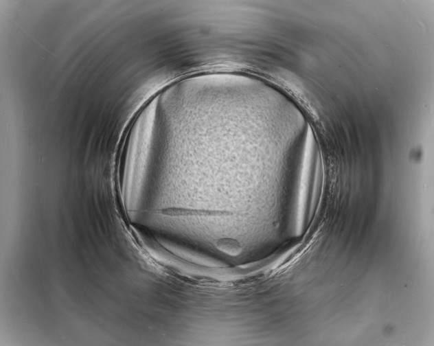 X0000098181186200805081017