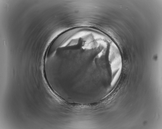 X0000098181187200805081017