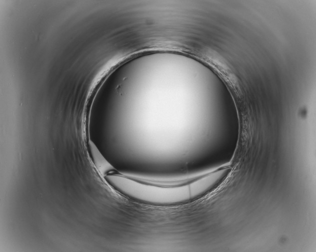 X0000098181188200805081017