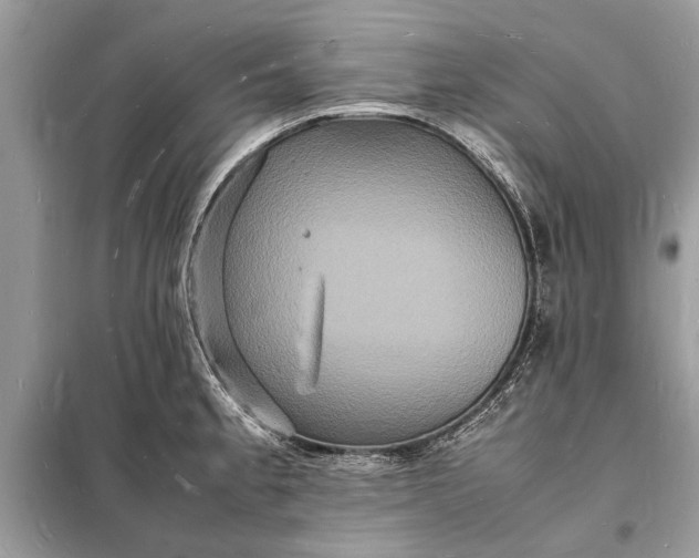 X0000098181189200805081017