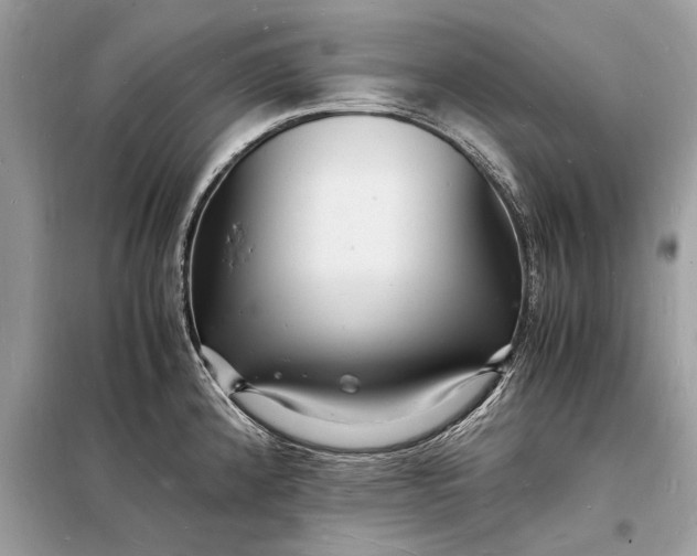 X0000098181192200805081017