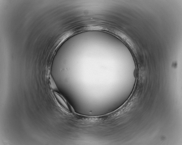 X0000098181193200805081017