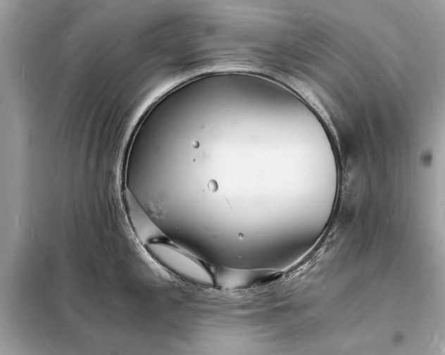 X0000098181197200805081017